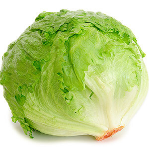 美生菜 進口 500g 10 一點利蔬果批發